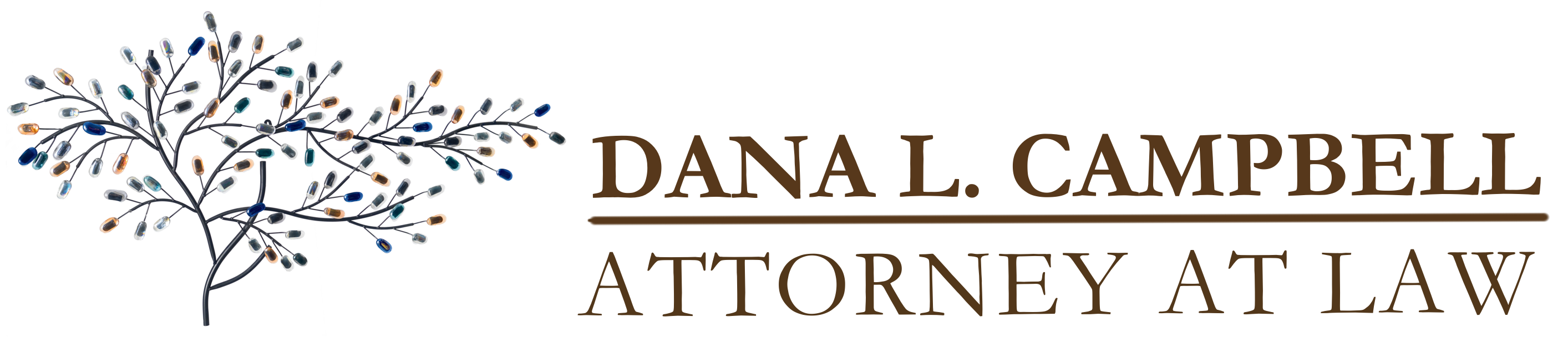 Dana L Campbell, Attorney at Law